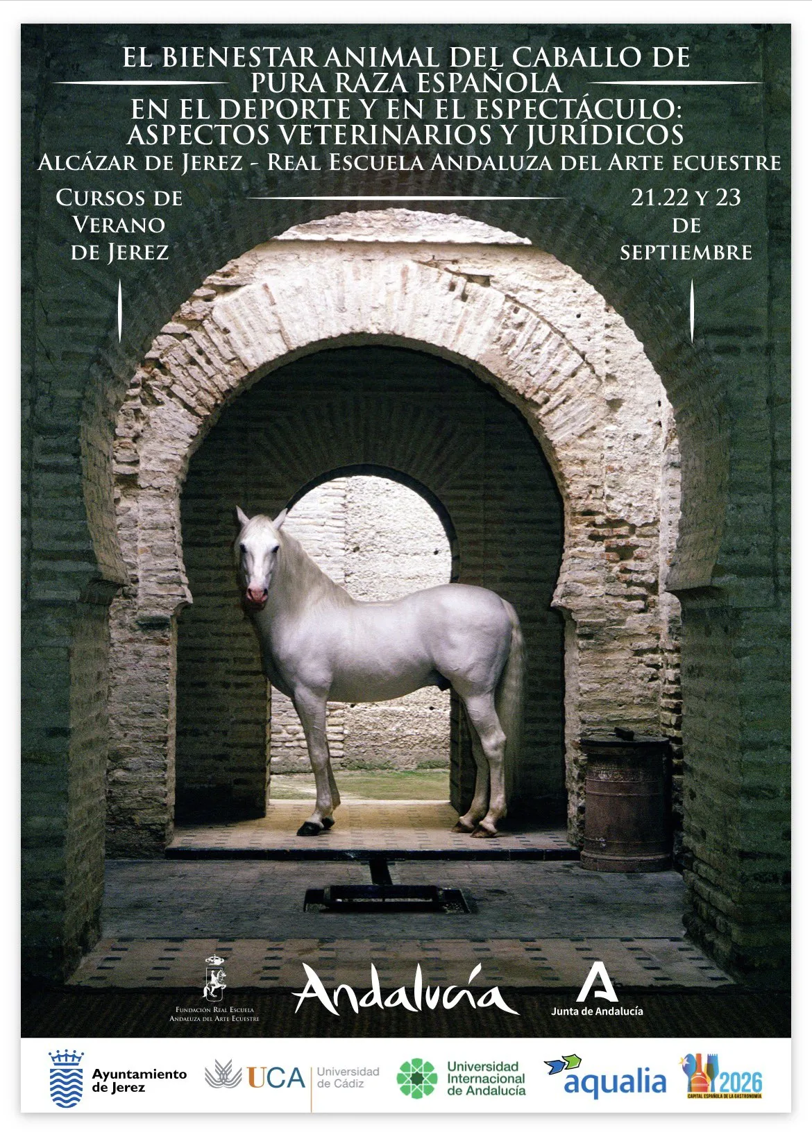 UCA summer course on the animal welfare of the PRE horse — Jerez 2026