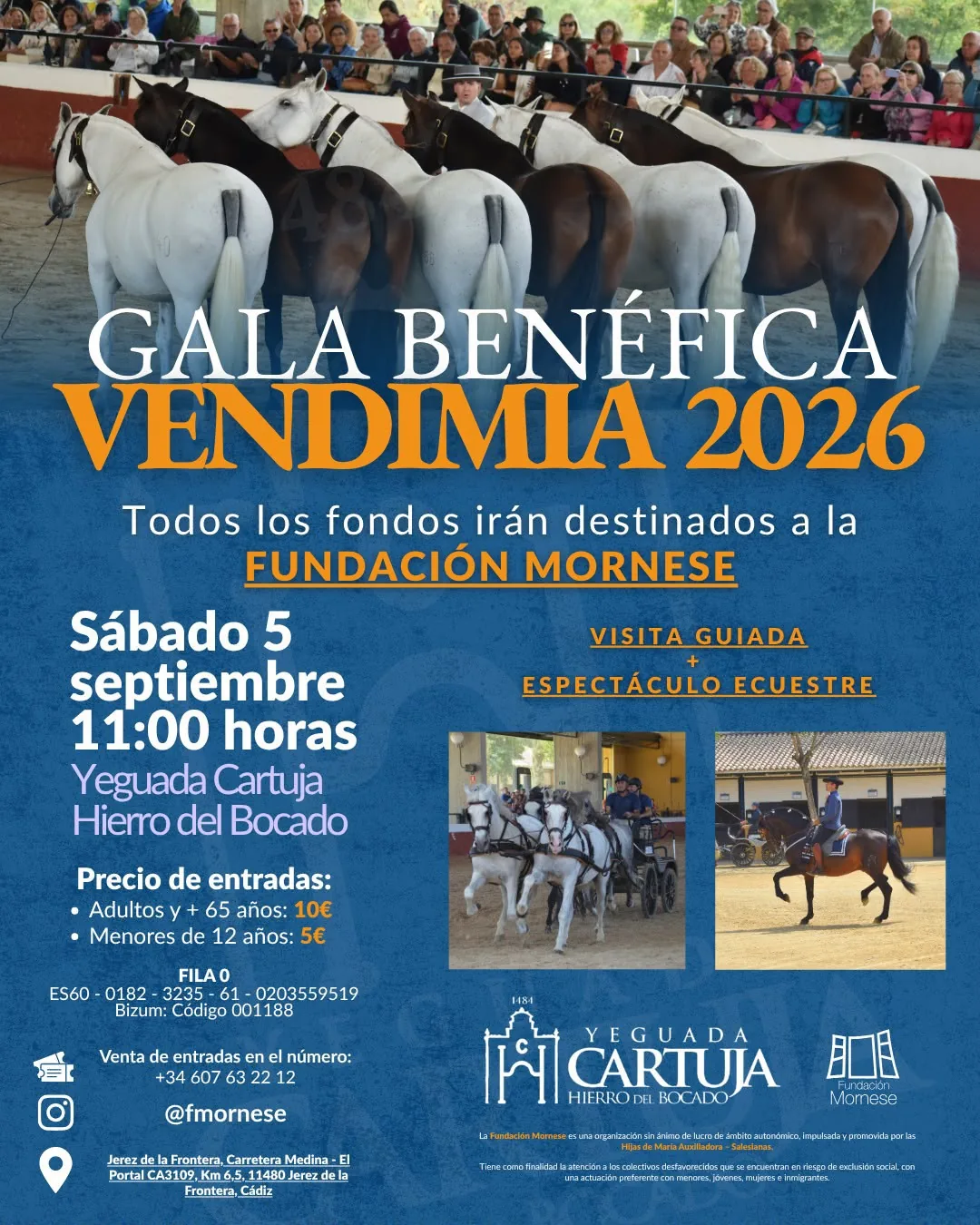 An equestrian September in Jerez — Calendar of equestrian activities September 2026
