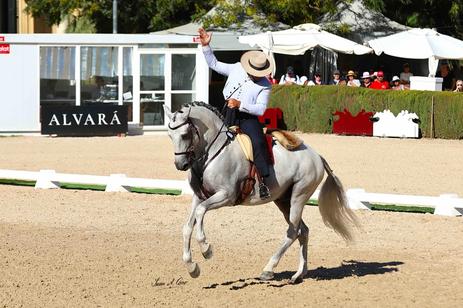 Gilberto Filipe Silva con Morante — líder provisional tras la primera jornada de Doma del VII Mundial de Equitación de Trabajo (Jerez 2026)