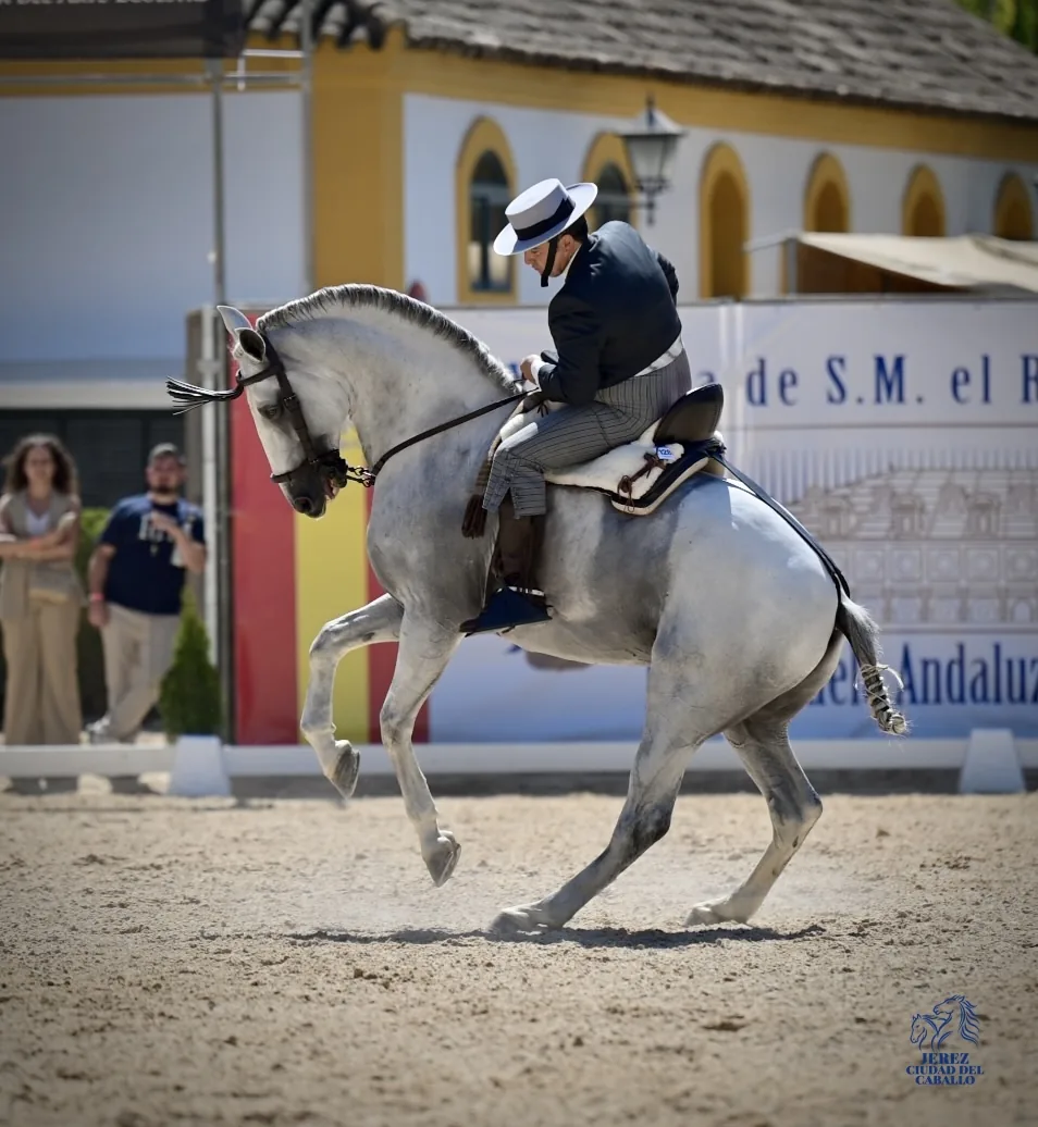 Daniel Reyes Aldana y Platino en una prueba de doma vaquera