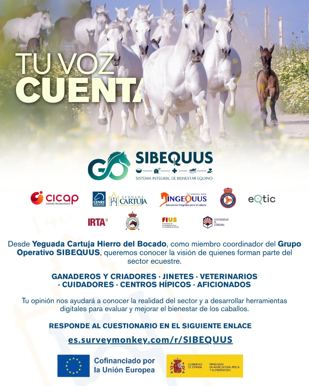 Cartel de la encuesta sobre bienestar equino del Grupo Operativo SIBEQUUS: Tu voz cuenta