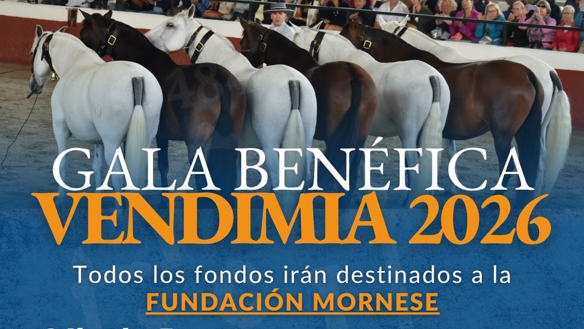 An equestrian September in Jerez
